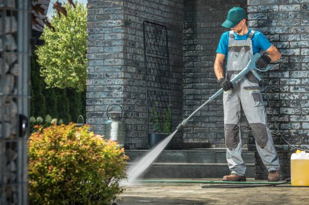 Best Roof Washing  in St Clair Shores, MI